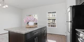 3550 SPRIGG Street S Gallery 11
