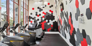 Arrive Silver Spring Gallery 45