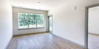 The Belle at the Lamar Gallery 43