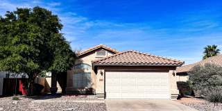 1282 W Macaw Drive Gallery 1