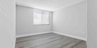 Coral Vista Gallery 47