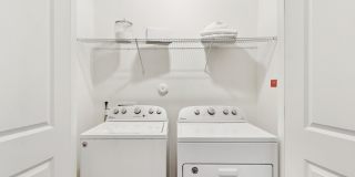 Encore North Gallery 8