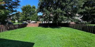 3303 Colorcott St. Gallery 19