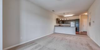 Reserve at Park West Gallery 18