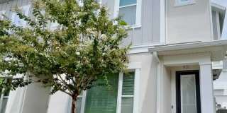 931 Wild Date Lane Gallery 1