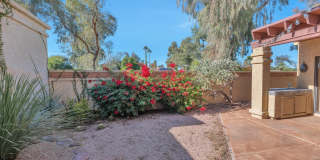 10566 N 87TH Place Gallery 23