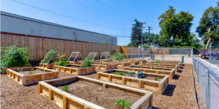 Outpost on Yukon Gallery 17