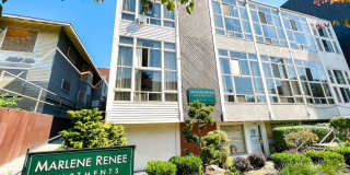 Marlene Renee Gallery 1