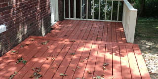 Treetop views in North Avondale Gallery 3