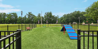 Hunters Chase Gallery 19