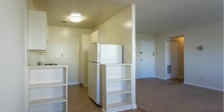 Swift at Riverdale Park Gallery 14