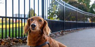 Tivoli Apartments Gallery 30