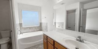 9566 Everton Gallery 21