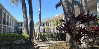 5221 Bayshore Boulevard Gallery 1