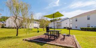 Birch Pond Gallery 17