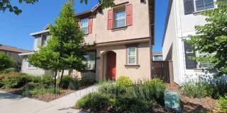 3805 Amelia Rose Way Gallery 2