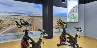 Wave Lakeview Gallery 27