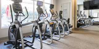 The Southerly Gallery 33