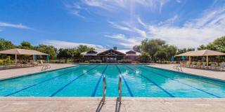 4010 E Sidewinder Court Gallery 60