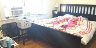 Huge 1 Bed on the "B" Line Gallery 9