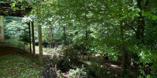 Available now,  3/2 with large unfinished basement, in University Heights Gallery 40