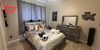 1115 LANDALE COURT Gallery 26