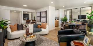 Dolphin Marina Gallery 3