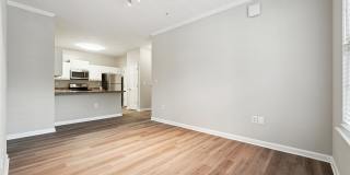 Tree Park Apartments Gallery 20