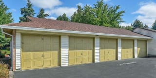 Foothills Gallery 27