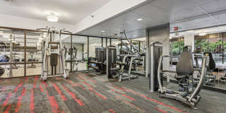 Courtland Park Gallery 12