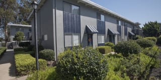 Monterey Townhouse Gallery 64