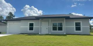 BRAND NEW! Move-In Ready Modern 3 Bed / 2 Bath Home in Desirable Lake Placid Neighborhood Gallery 1