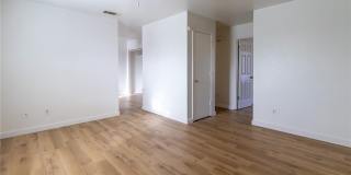 1601 Benttree Drive Gallery 2