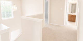 4919 Celtic Gallery 31