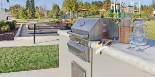 Allegria at Roseville Gallery 13