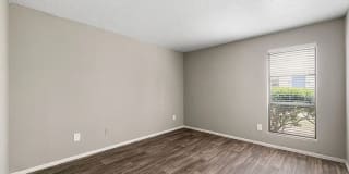 Alamo Oaks Gallery 20