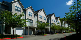 The Timbers at Issaquah Ridge Apartments Gallery 14