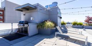 Zig Apartments Gallery 35
