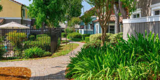 Peppertree Apartments Gallery 39