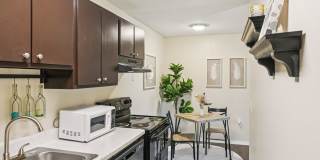 Sarasota South Gallery 7