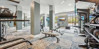 The Quarry Gallery 49