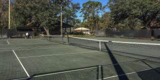 13009 BENT PINE Court E Gallery 21