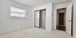 3 Bedroom 2 Bath Home in Safety Harbor Gallery 22