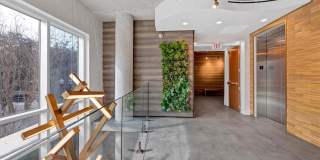 525 E JACKSON STREET Gallery 11