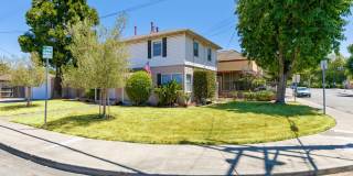 Hesperian Gallery 16