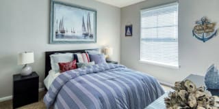 RiverTree Gallery 17