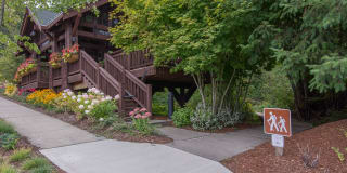 Estates at Cougar Mountain Gallery 33