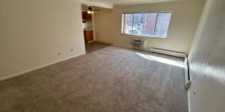 Ogden Arms Gallery 8