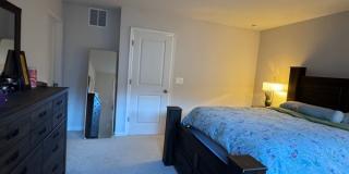 4959 Lexi Ln - 1 Gallery 44