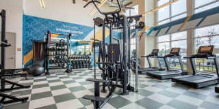 Woodmore Grand Gallery 8